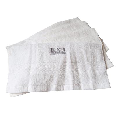 China Plain Terry QUICK DRY Bath Towel For Embroidery Custom Logos In White Color for sale