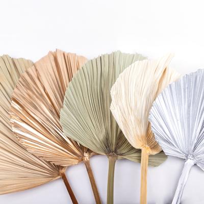 China Natural Hot Sale Wedding Party Flower YN Hi Decorative Flower Dried Colorful Palm Leaves For Sale for sale