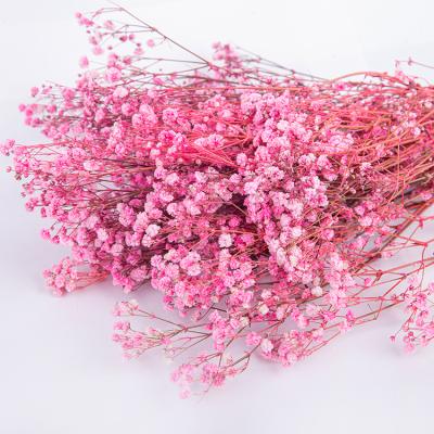 China Natural Dry Flowers Wholesale Baby's Breath Flowers Artificial Dry Gypsophila Wedding Party Home Decoration for sale