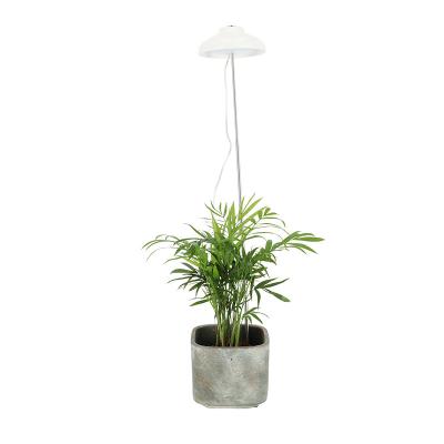 China Plants Esschert Design AGG105 USB Indoor Garden Led Growing Plants Lamp for sale