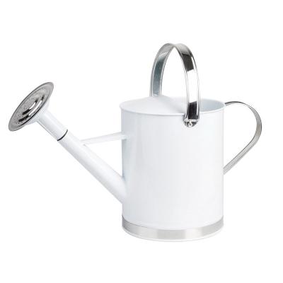 China Zinc Galvanized Esschert Design Outdoor Watering Can French Metal 1 Gallon White Garden Watering Can for sale