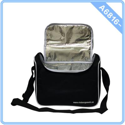 China HH-A6816 promotion Outdoor picnic soft cooler bag Thermos cooler bag OEM on logo and desig for sale