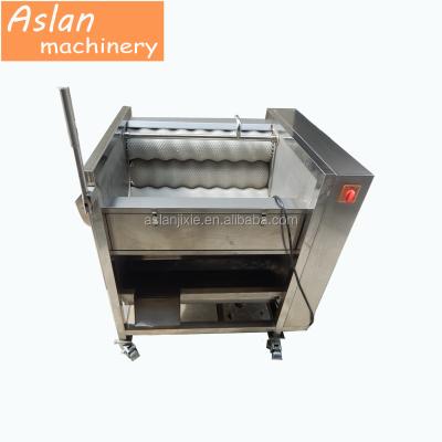 China Potato Fruit Washer Price /Industrial Fruit Washing Machine /Fruit Washing Machine for sale