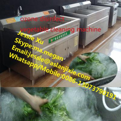 China Ozone and disinfection newest arrival vegetable and fruit ozone washing machine for vegetable and fruit for sale