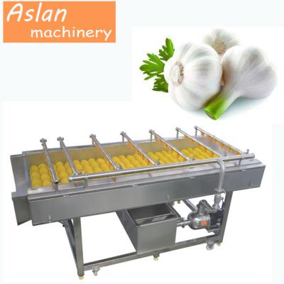 China 304 stainless steel garlic cleaning machines/ginger washing machine for sale