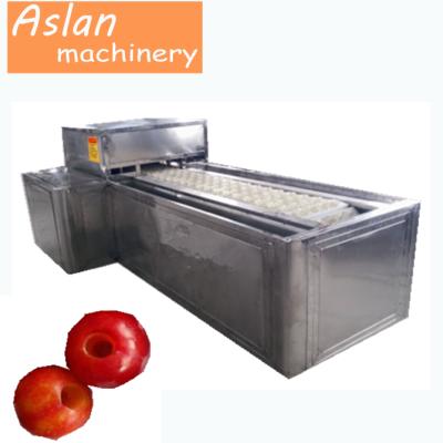 China High efficiency fruit pit pitting machine/dry dates pitting machine/cherry seed removing machine for sale