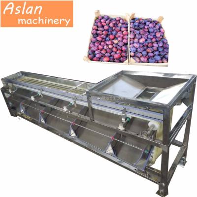 China Easy Operation Professional OEM Berry Grading Machine / Plum Apricot Grader Machine /fruit Sorter for sale