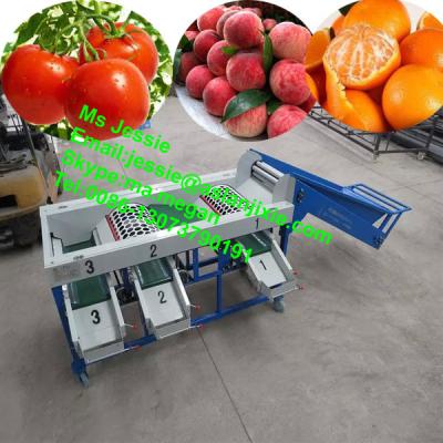 China For sorting and grading kinds of fruits 3 to 6 grades citrus sorter for fruits classify for sale