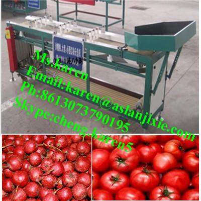 China hot sale 304 stainless steel tomato sorting machine/cherry tomato sorting machine/cherry tomato for sale