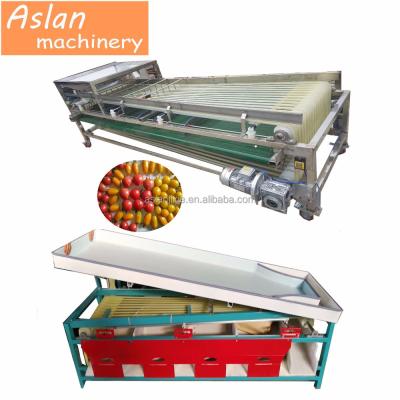 China Easy operation citrus sorter machine for sale/size grading machine/fruit sorting grading machine for sale