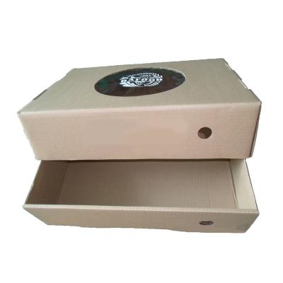 China Recycled Materials Wholesale Customized Unique Printing Corrugated Cardboard Cardboard Shoe Box For Transportation for sale