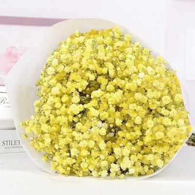 China Natural Touch Dried Flowers Babies Yellow Breath Premium Grade Dried Gypsophila Best Selling Flower Best Preserved for sale