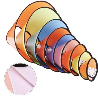 China Viable Adjustable E - Recovery Cat Protective Elizabethan Collar 4 Colors Pet Collar Anti Bite For Dog for sale