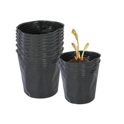 China Modern High Quality Transparent Soft Plastic Orchid Seedling Pots for sale