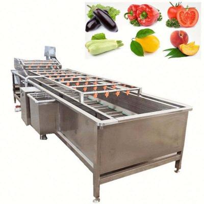 China Automatic vegetable garlic bubble ginger fruit and vegetable snack factory washing machine machine cleaning and cleaning spray piping for sale