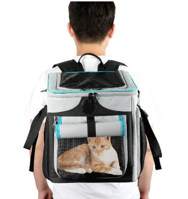 China BSCI Factory BSCI Kitten Dog Pet Backpack Universal Pet Cat Carrier Double Shoulder Bag Portable Viable Breathable Cat Backpack for sale