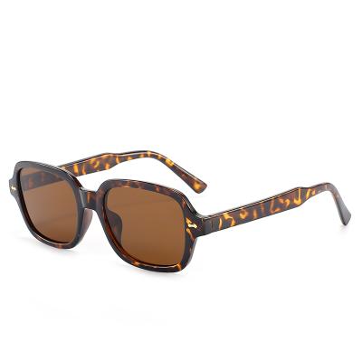 China Fashion Square Leopard Sun Glass Rivet Sunglasses Women Small for sale