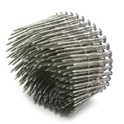 China Flat Galvanized Or Painted Jumbo Coil Nails Coil Framing Nails Coil Steel Nails for sale