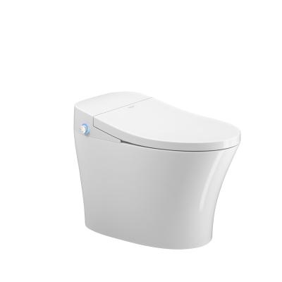 China TA-832 ​​Sanitary Ware Intelligent Cistern Seal Automatic Toilet Smart Hidden WC for sale