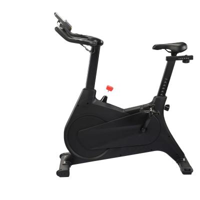 China Home Use Stationary Commercial Exercise Spin Bike With 6 Kg Flywheel Belt Comfortable Cushion Professional Spin Bike for sale