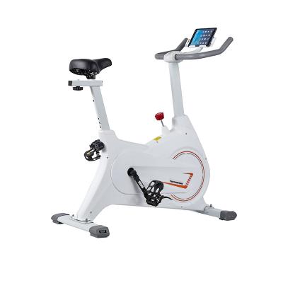 China 2021 New Custom Silent Spinning Indoor Spinning Bike Magnetic Resistance Bike Home Exercise Bikes Comfortable for sale