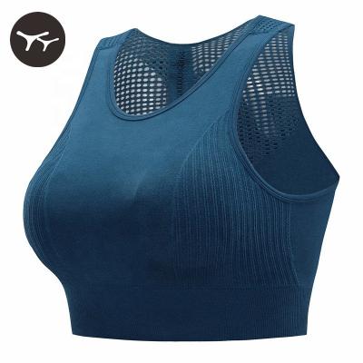 China Factory Stock Breathable Women Sports Seamless Bra Yoga Sports Bra Women Yoga Sports Bra for sale