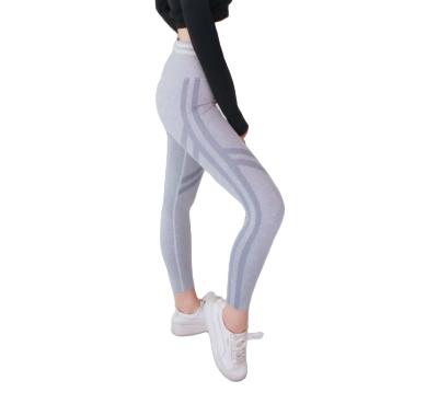 China JIEJIN Antibacterial High Waist Sports Yoga Leggings Running Fitness Running Seamless Leggings for sale