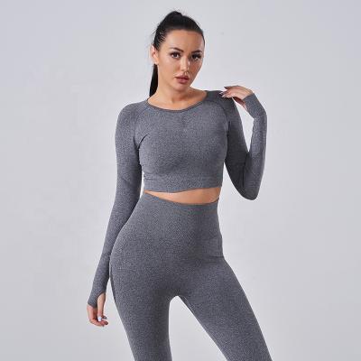 China Sport Bra+ Set Women High Waist Workout Sports Leggings Long Sleeve Yoga Set Breathable Multiple Active Seamless Bra Leggings for sale