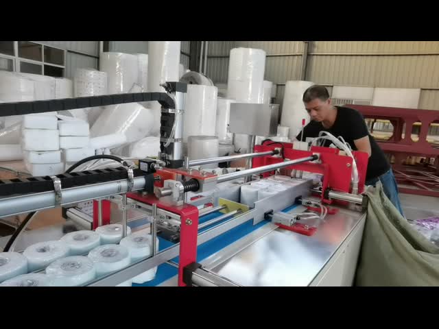 XY-AI-398A Semi-automatic toilet paper packing machine