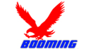 BOOMING TECHNOLOGY LIMITED