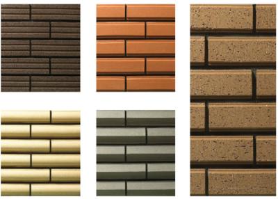 China Plane Surfaces Special Shaped Bricks , Clay Thin Veneer Brick Customized for sale