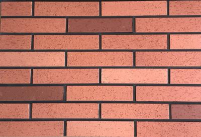 China Mixed Color Decorative / Vintage Brick Veneer For Outdoor Wall Building 240x60mm for sale