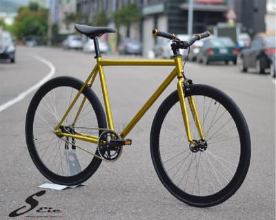 China Hi-ten steel factory steel Chinese freestyle professinal fixed speed road bike for sale