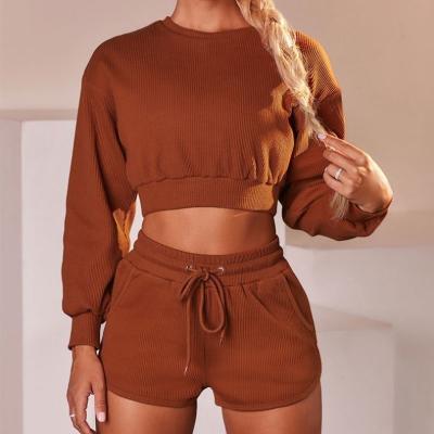 China Anti-Wrinkle Round Neck Sexy Oversized Long Sleeve Cropped Casual Wear Women Tops Simple Sweatshirt No Hood for sale