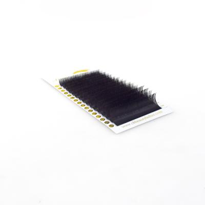 China Long Natural Siberian Mink Person Lashes Soft Eyelash Extension Eyelash Extensions Classic Private Label for sale