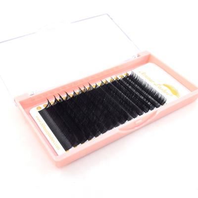 China Mink/Silk Camellia Eyelash Extensions Cruelty Free Premium Top Selling Volume Eyelash Extensions Lash for sale