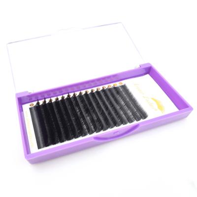 China Factory Supply Low Price Natural Long Best Selling Quality Real Lash Glossy Soft or High Quality Matte Ellipse Flat False Eyelash Extensions for sale