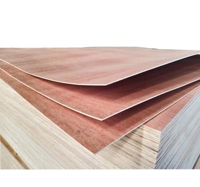 China Modern Free Sample and Lower Price of Bintangor/Okoume Factory Birch Faced Commercial Plywood for sale