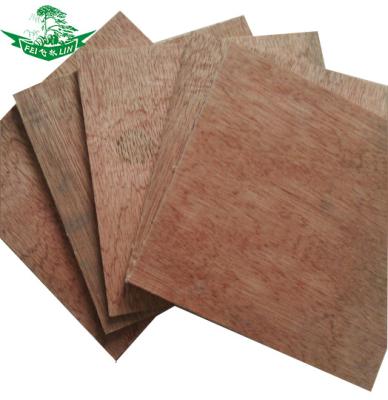 China Packaging/Decoration Durable Bintangor/Okoume Faced Door Skin Plywood Plywood Malaysia Playwood 18Mm Plywood for sale