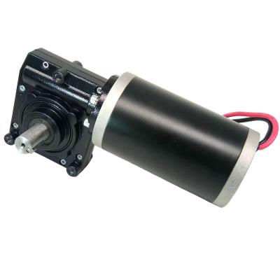 China High Torque 12V 24V Totally Enclosed DC Worm Gear Motor 150 Kgcm Dc Motor Worm Gear DC Worm Motor for sale