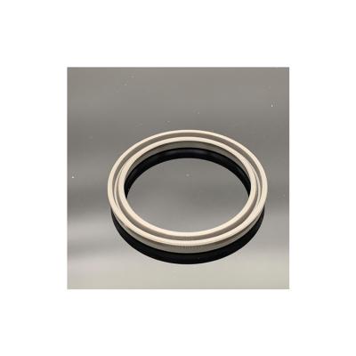 China 2022 Hot Sale Rod Oil Seal Ring Piston Hydraulic Cylinder Gear Rod Seal for sale