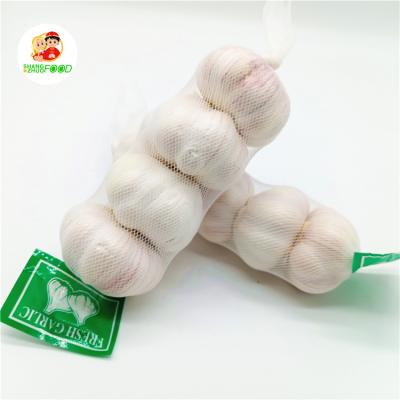 China Wholesale Fresh White Garlic Cheap Price Normal Fresh Garlic Garlic for sale