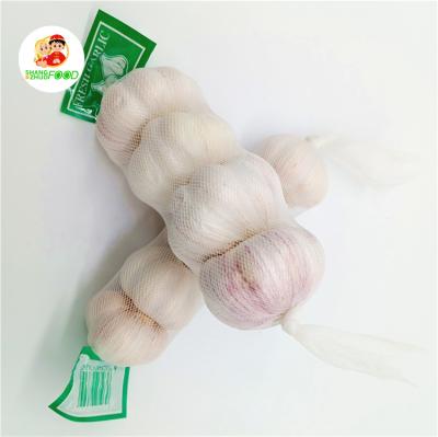 China China Garlic Factory Fresh Normal White Red Garlic Fresh Price for sale