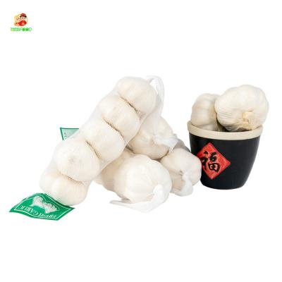 China Fresh Garlic China Normal White Garlic 3P/4P/5P/6P Hot Selling for sale