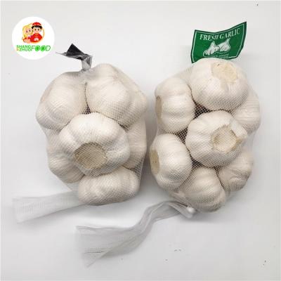 China White Fresh Pure Organic Vegetables And Red Fresh Garlic Snow White Garlic 10kg Wholesale for sale