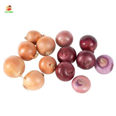 China China Fresh Fresh Red Onion 5-7cm China Import-Export of Onion Red Onion Bag Suppliers for sale