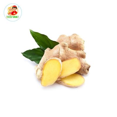 China China Fresh Dried Ginger Root Price Good Dried Dried Ginger witth factory price for sale