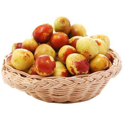 China Professional Fresh Fruit Fresh Sweet Red Jujube Furits Jujube Round Supplier In China for sale