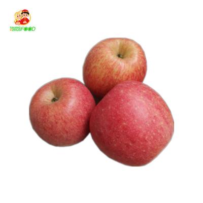 China Huaniu Fresh Fruit Chinese Crispy Apple Apple Apple Fresh Fruit China Fresh Price New for sale