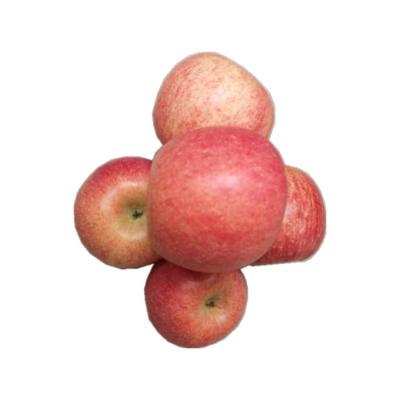 China Fuji apple fruit fresh soft crispy fresh bulk fruit red in17kg package for sale